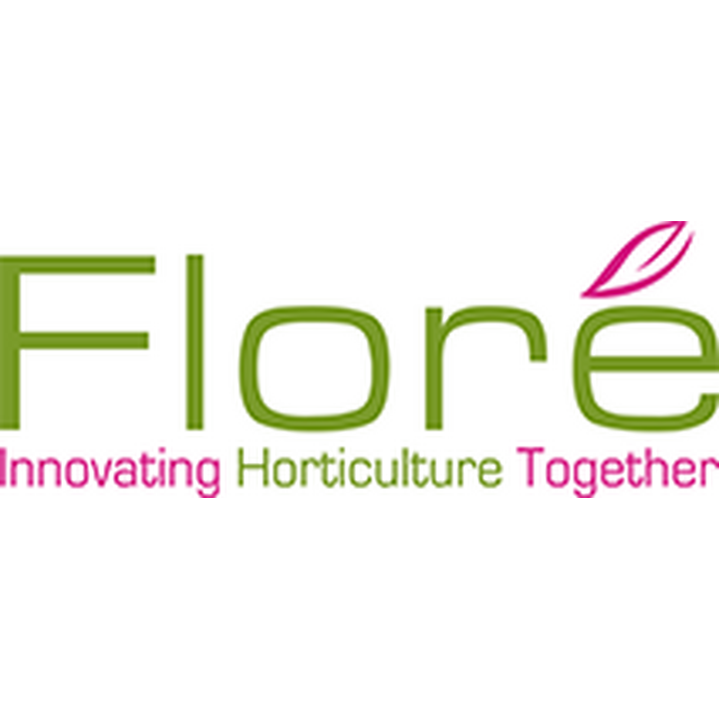 Logo flore
