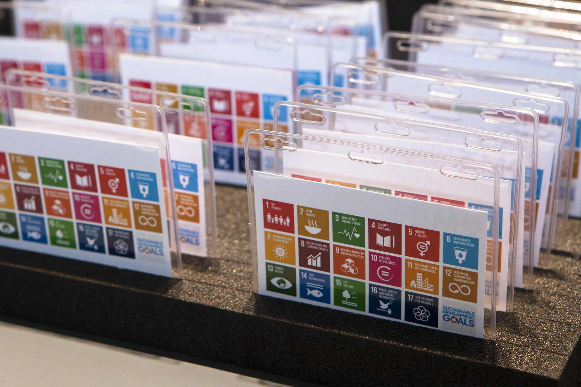 SDG Badges